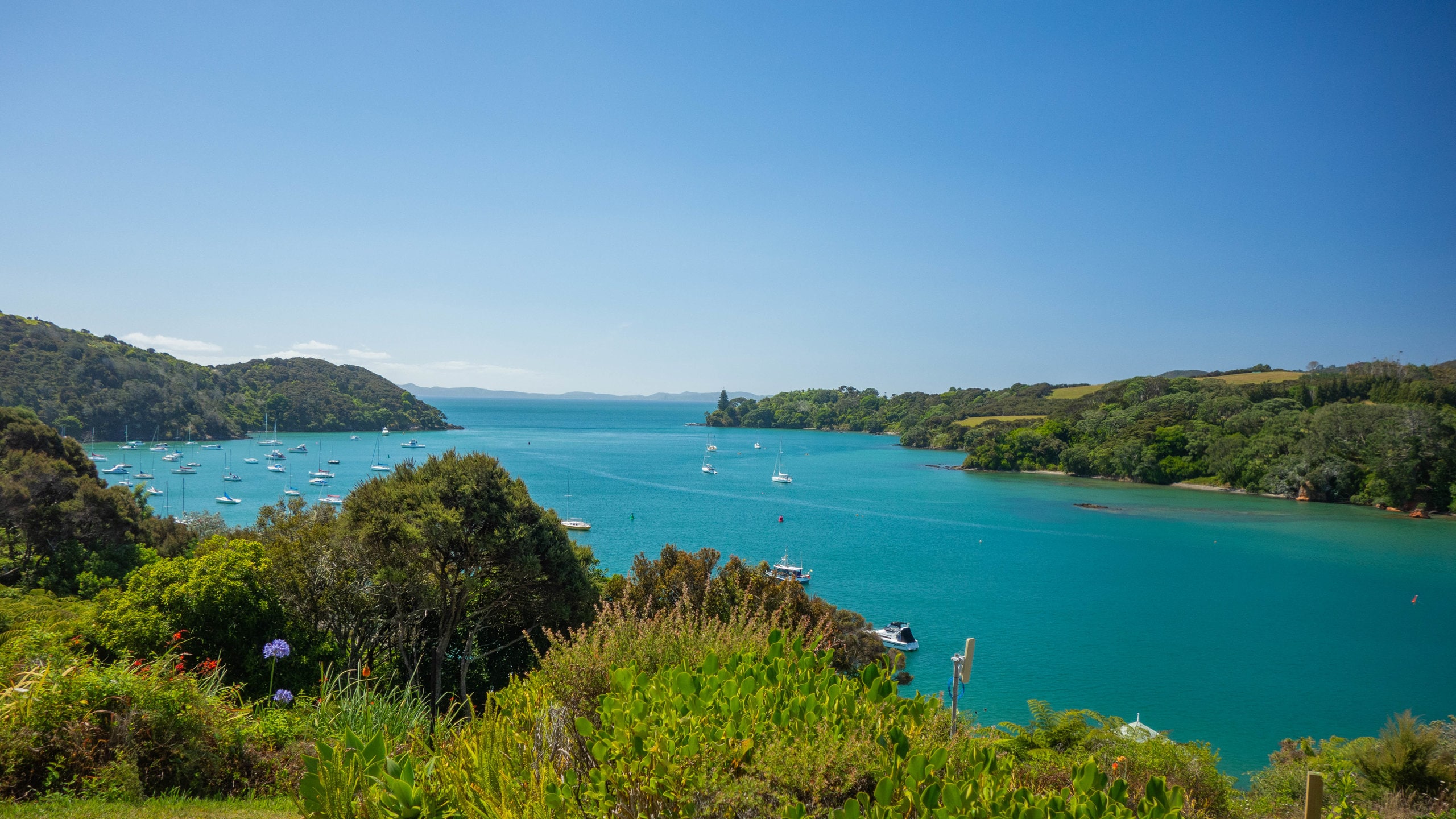 Top 20 Mangonui, NZ house rentals from 94/night Vrbo