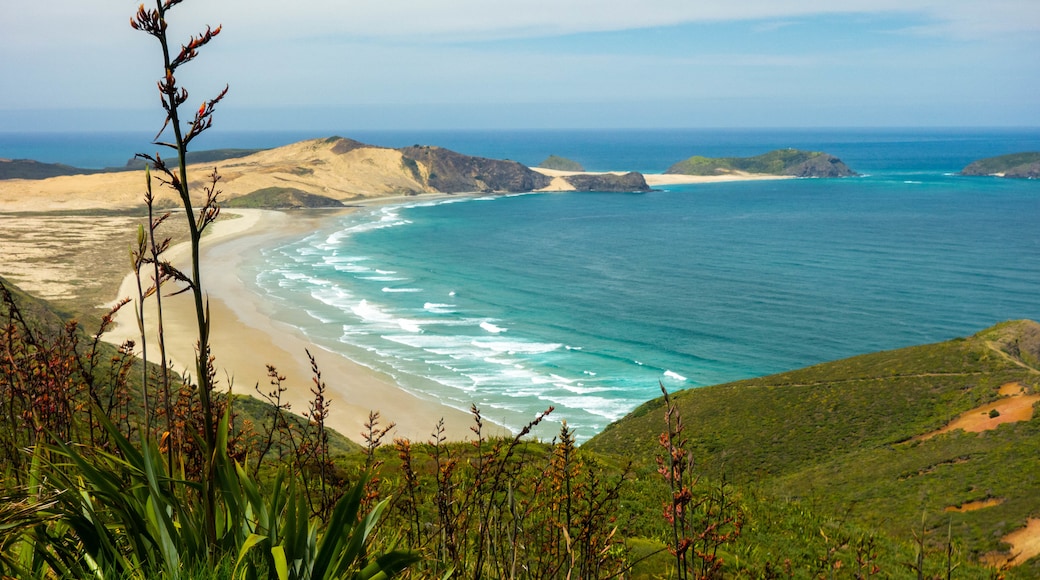 Cabo Reinga