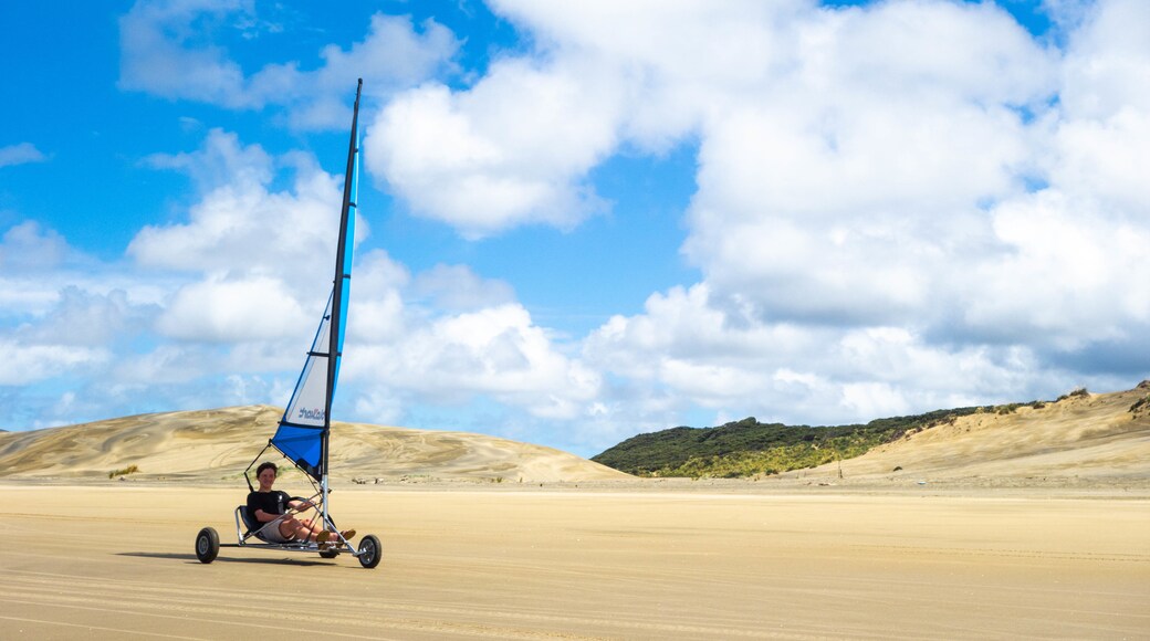 Kaipara Harbour