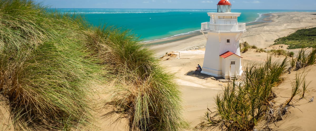 Pouto which includes general coastal views, a beach and a lighthouse