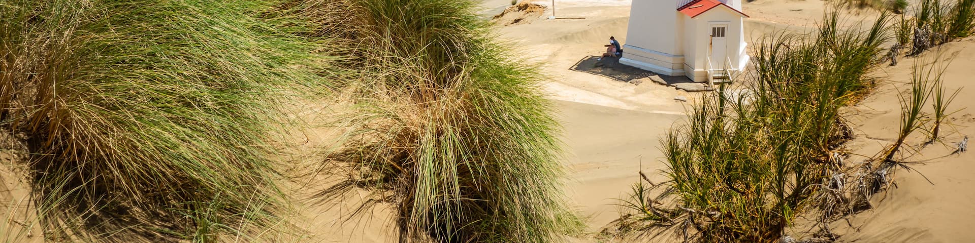 Pouto which includes general coastal views, a beach and a lighthouse