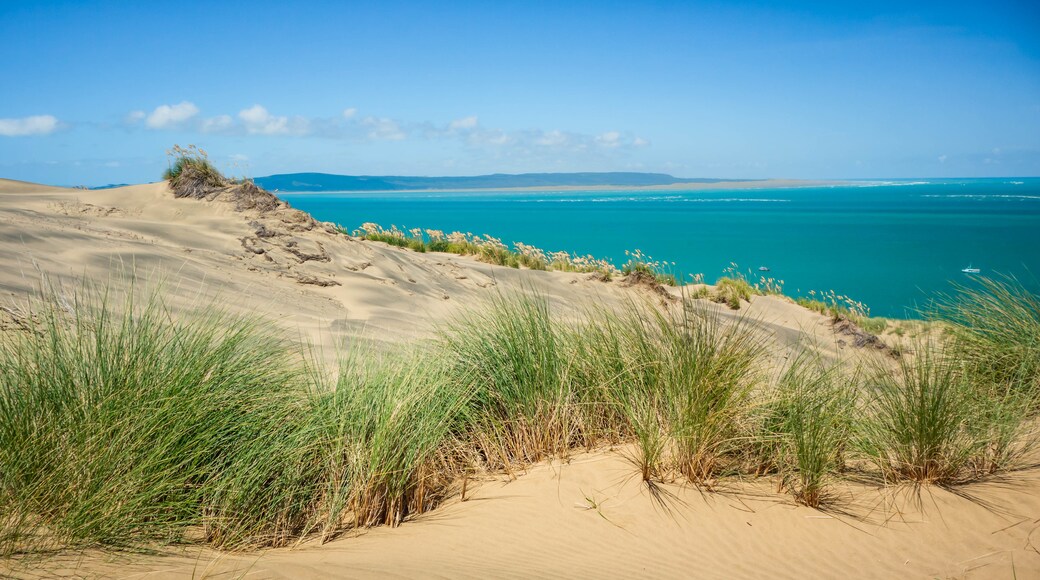 Kaipara Harbour