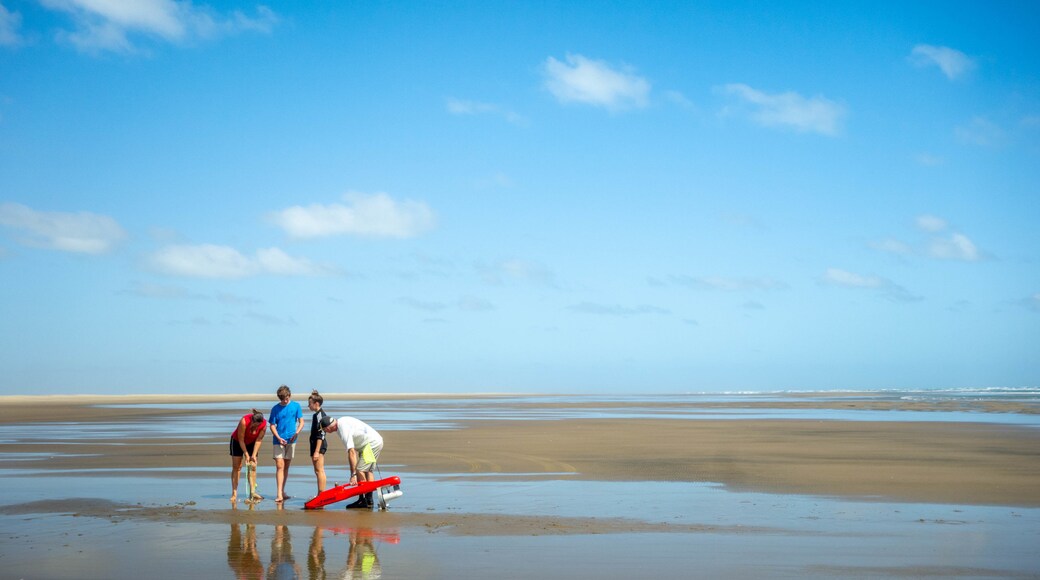 Kaipara Harbour