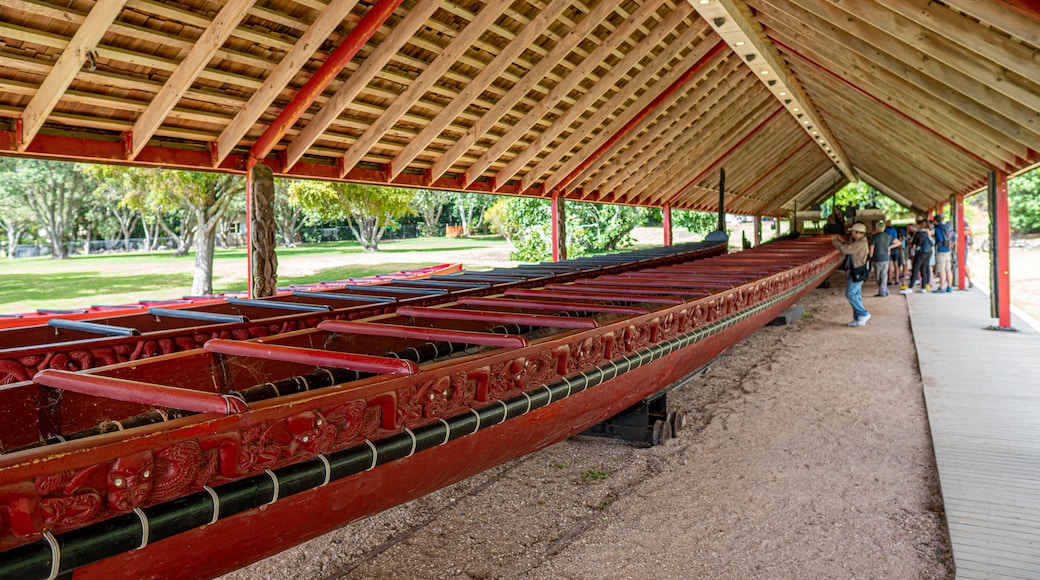 Waitangi Treaty Grounds showing indigenous culture