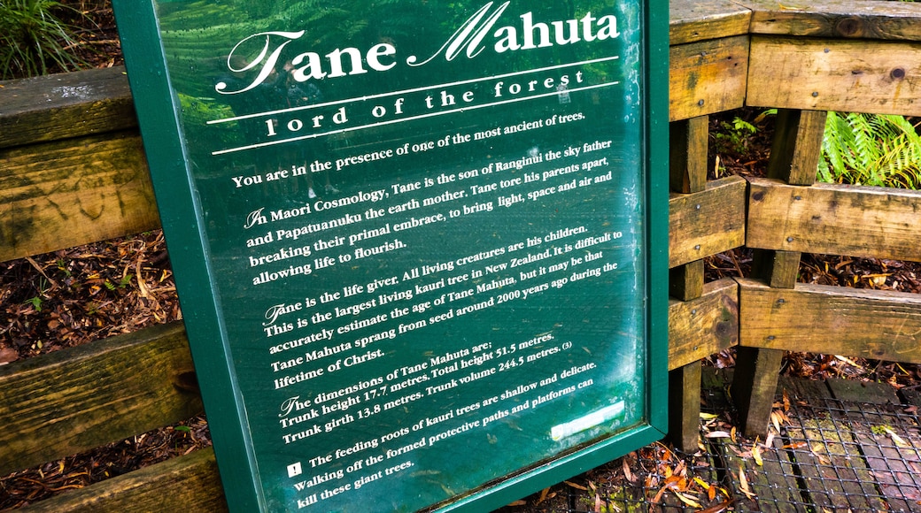 Tane Mahuta