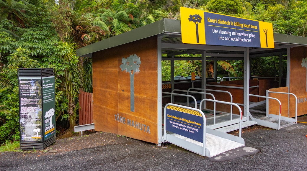 Tane Mahuta featuring signage