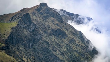 Los Nevados National Park showing mist or fog and mountains