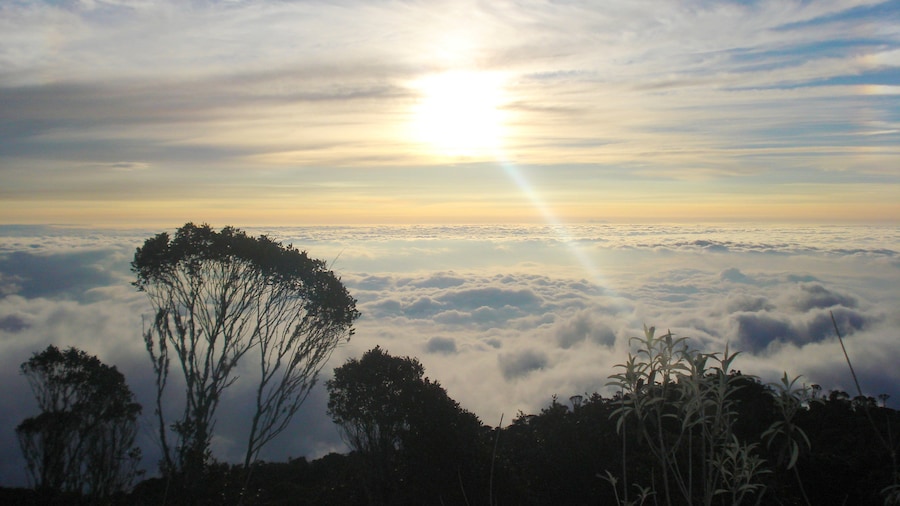 Parque Nacional Farallones de Cali