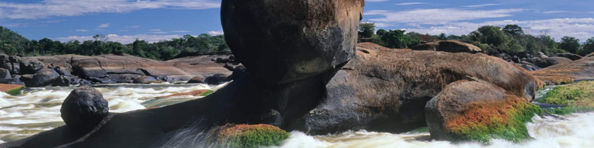 El Tuparro National Natural Park which includes a river or creek, rapids and rocky coastline