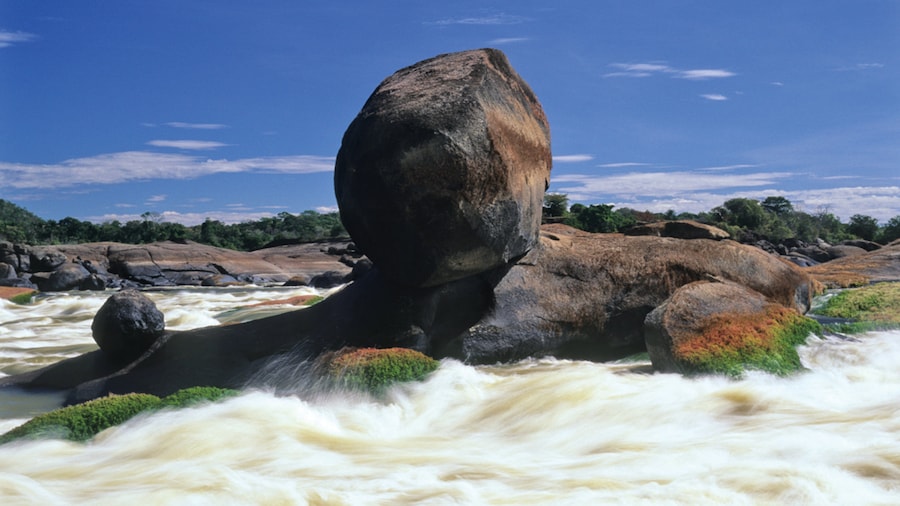 El Tuparro National Natural Park