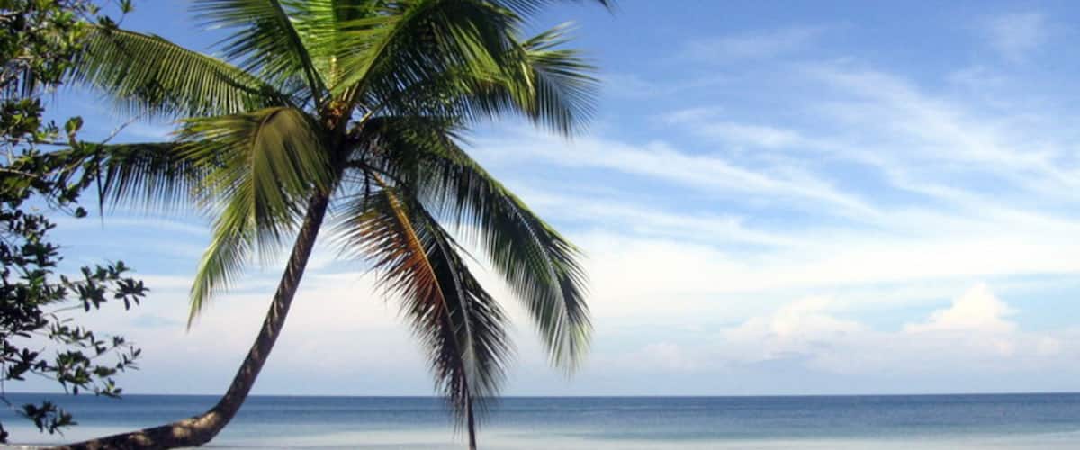 Gorgona Island