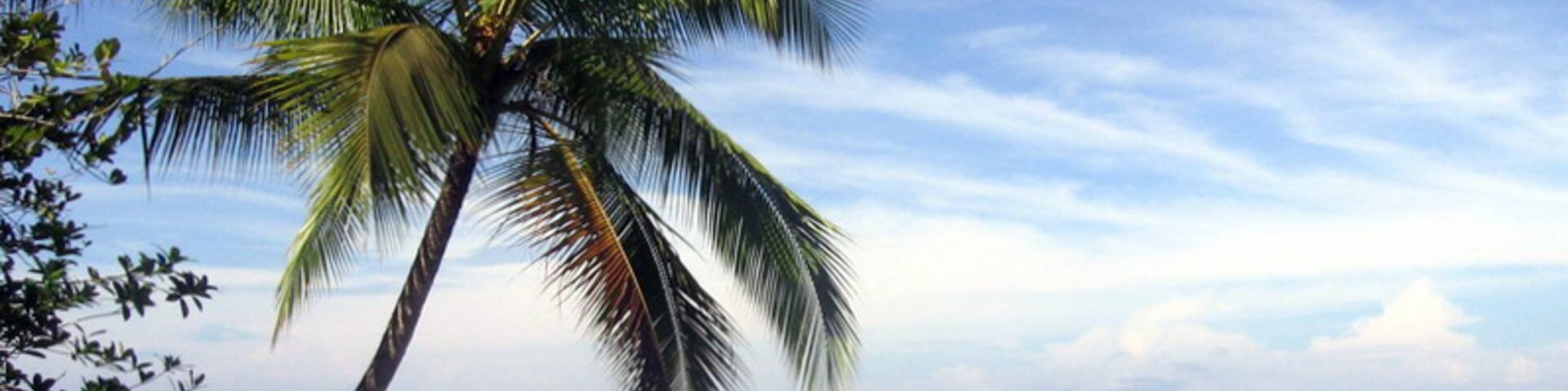 Gorgona Island