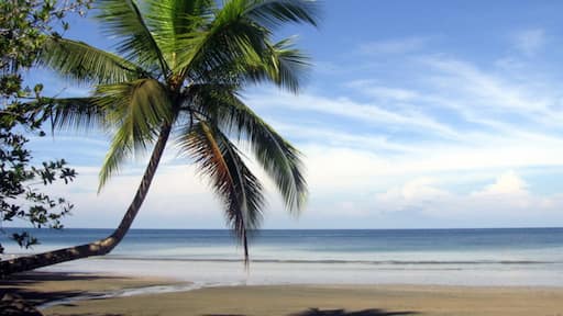 Gorgona Island