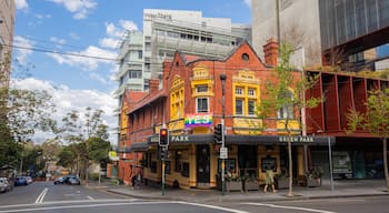 Darlinghurst showing a city