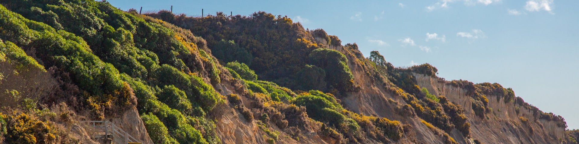 Moeraki Boulders which includes a beach as well as a small group of people