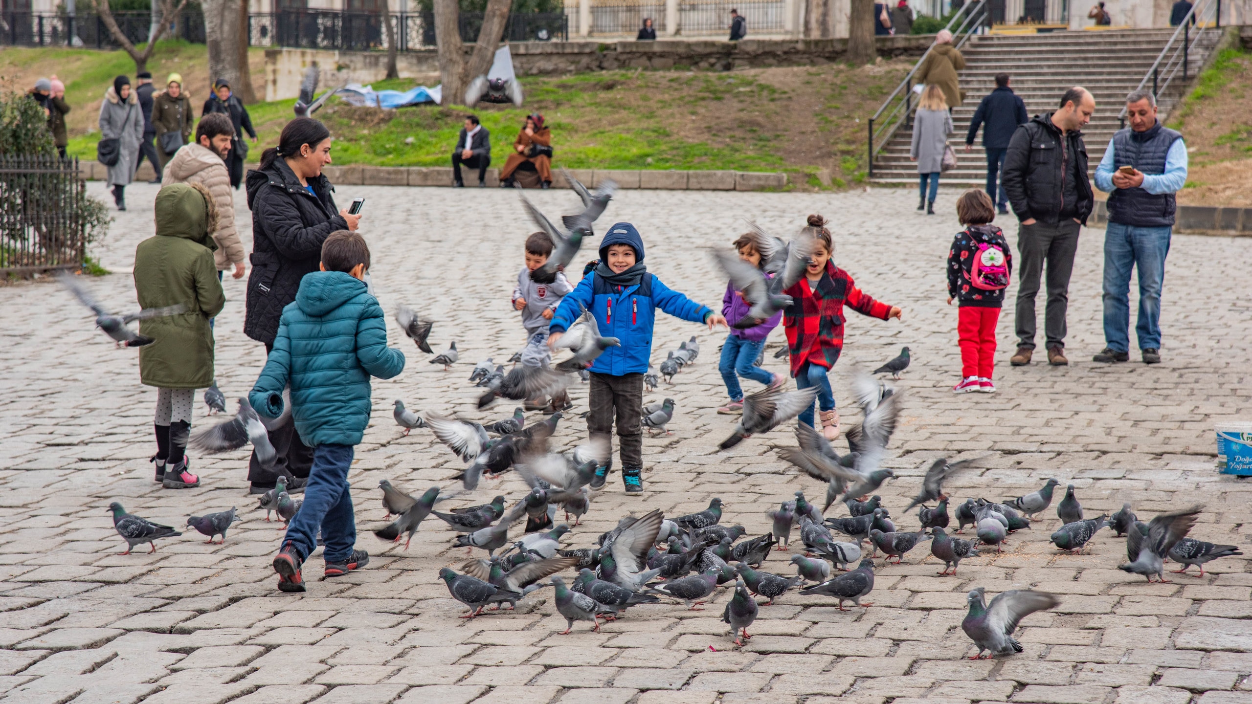 Beyazit Square which includes bird life, a square or plaza and street scenes