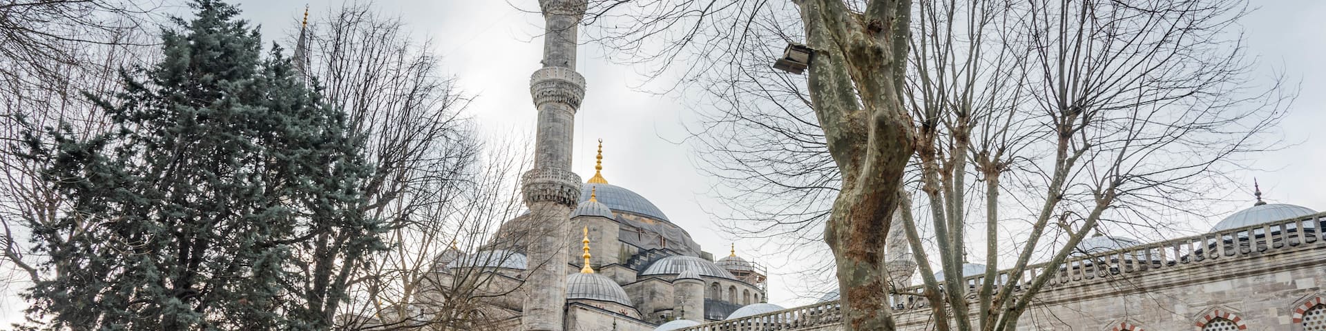 New Mosque which includes a garden, street scenes and heritage architecture