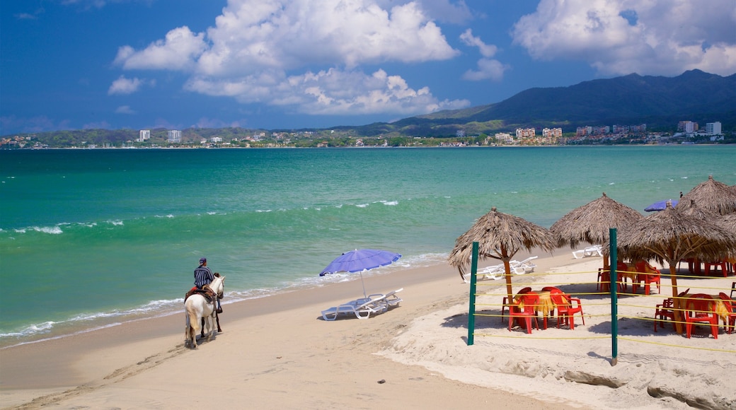 Mexico featuring general coastal views, tropical scenes and horseriding