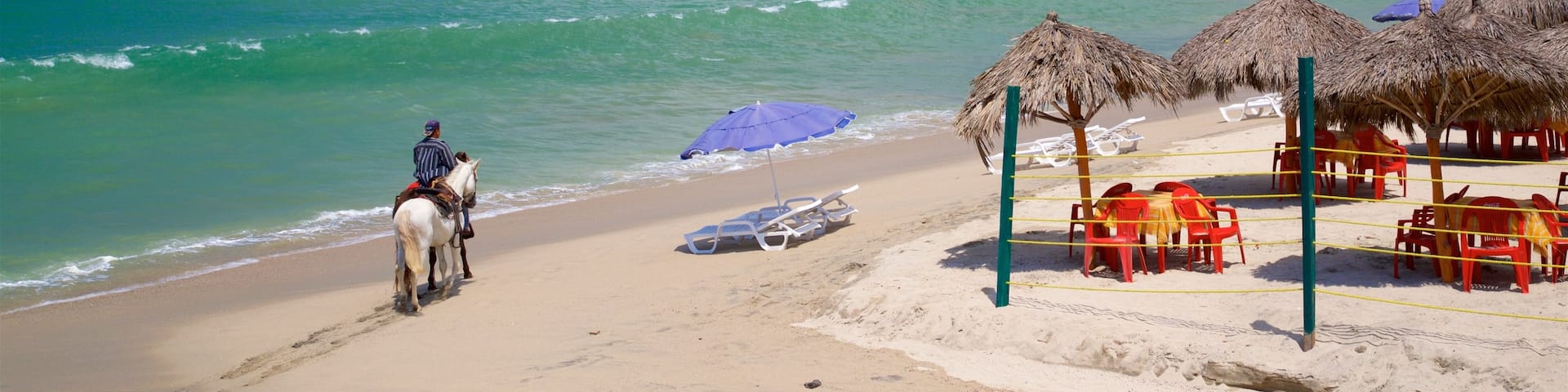 Mexico featuring general coastal views, tropical scenes and horseriding