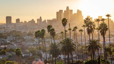 Los Angeles which includes a sunset, a city and landscape views