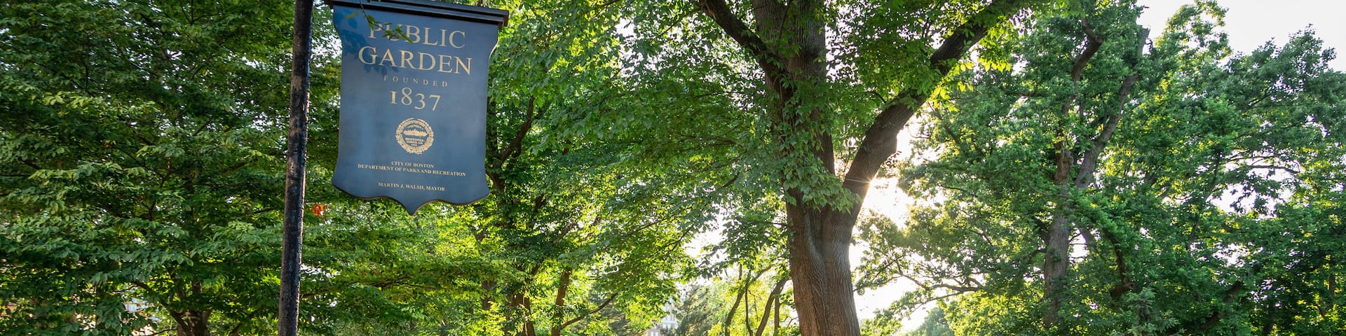 Boston Public Garden showing signage and a park as well as an individual male