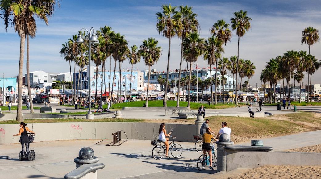 Pista de skate de Venice de