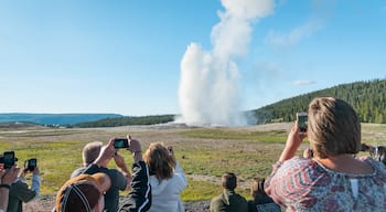 Old Faithful featuring a hot spring and mist or fog as well as a small group of people
