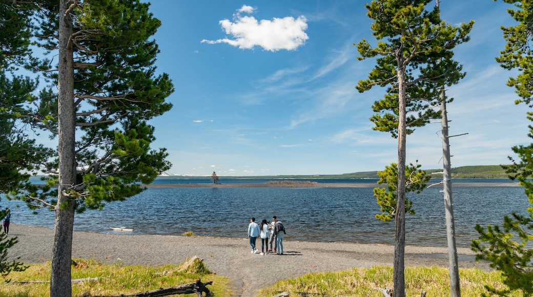 Lac Yellowstone