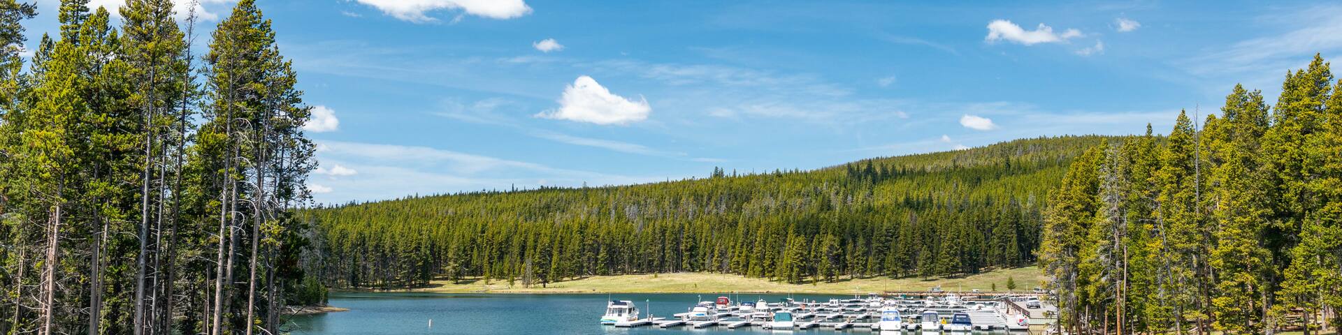 Yellowstone Lake which includes a lake or waterhole
