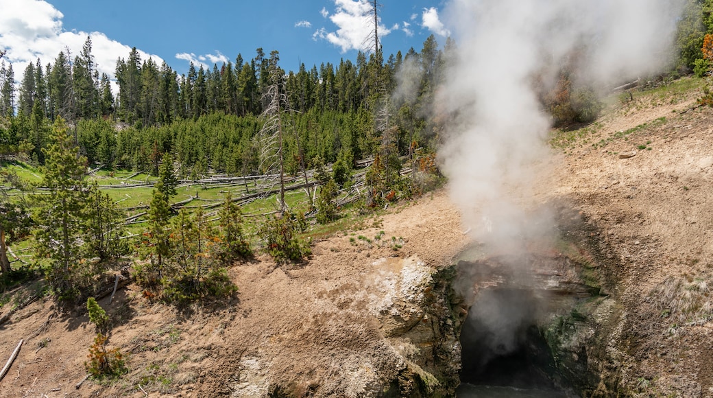 Dragon\'s Mouth Springs showing mist or fog and a hot spring