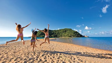 Ko Pha-ngan showing a sandy beach and general coastal views as well as a small group of people