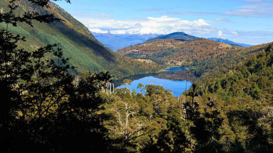 Huerquehue National Park