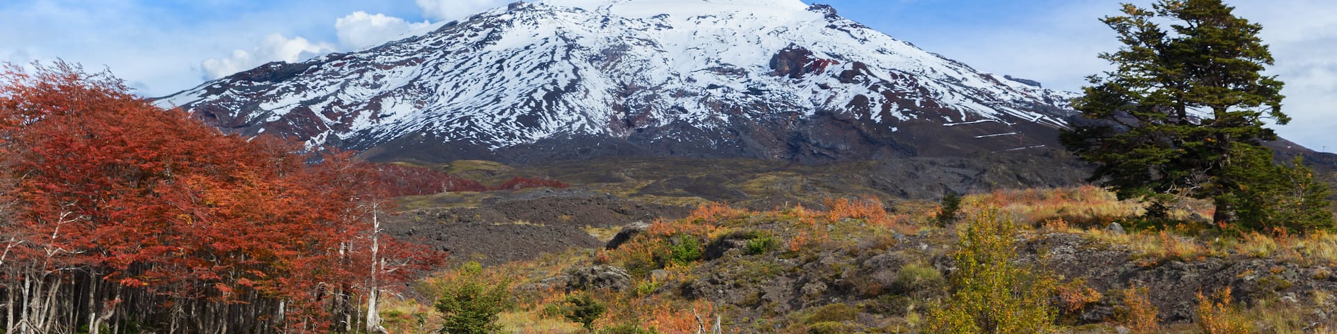 Villarrica National Park showing tranquil scenes, snow and mountains