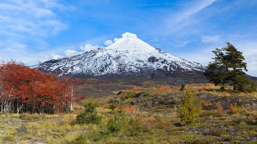 Villarrica National Park