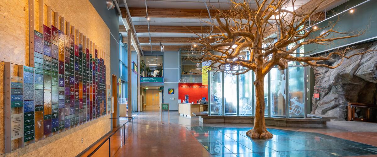 Turtle Bay Exploration Park featuring interior views