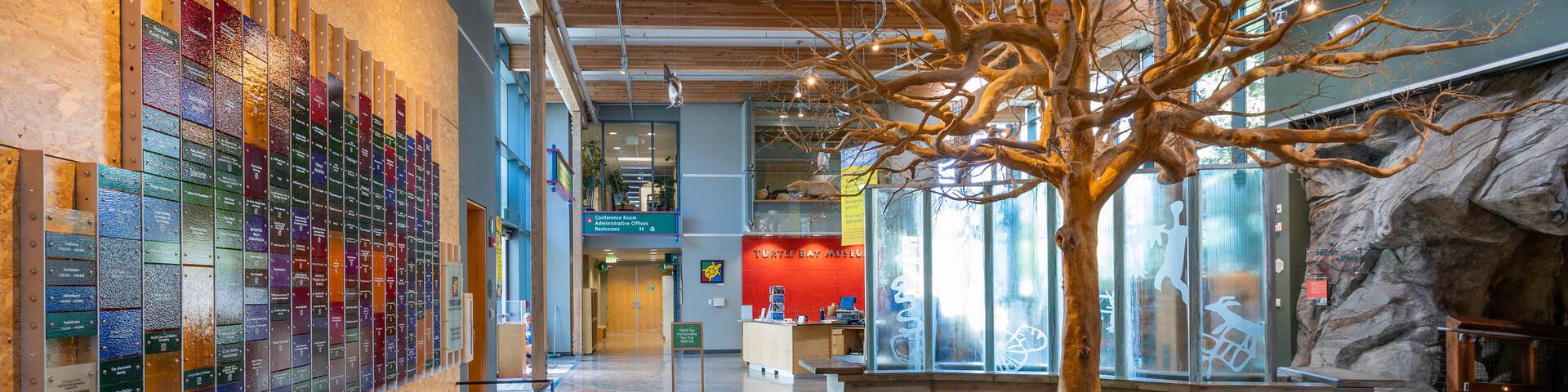 Turtle Bay Exploration Park featuring interior views