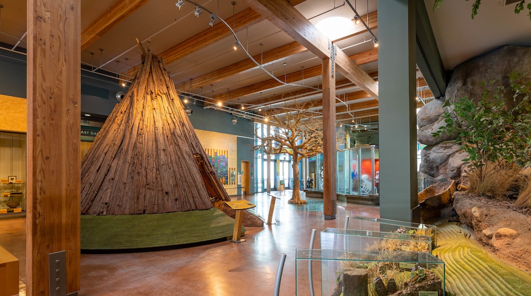 Turtle Bay Exploration Park