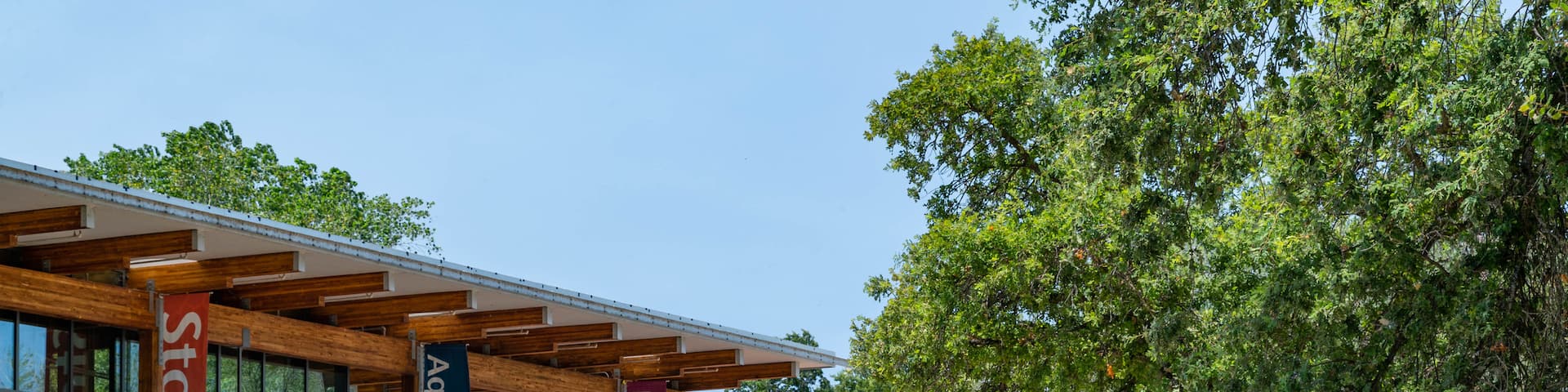 Sacramento Rail Trail which includes cycling and signage as well as an individual male