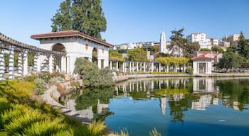 Lake Merritt featuring a pond