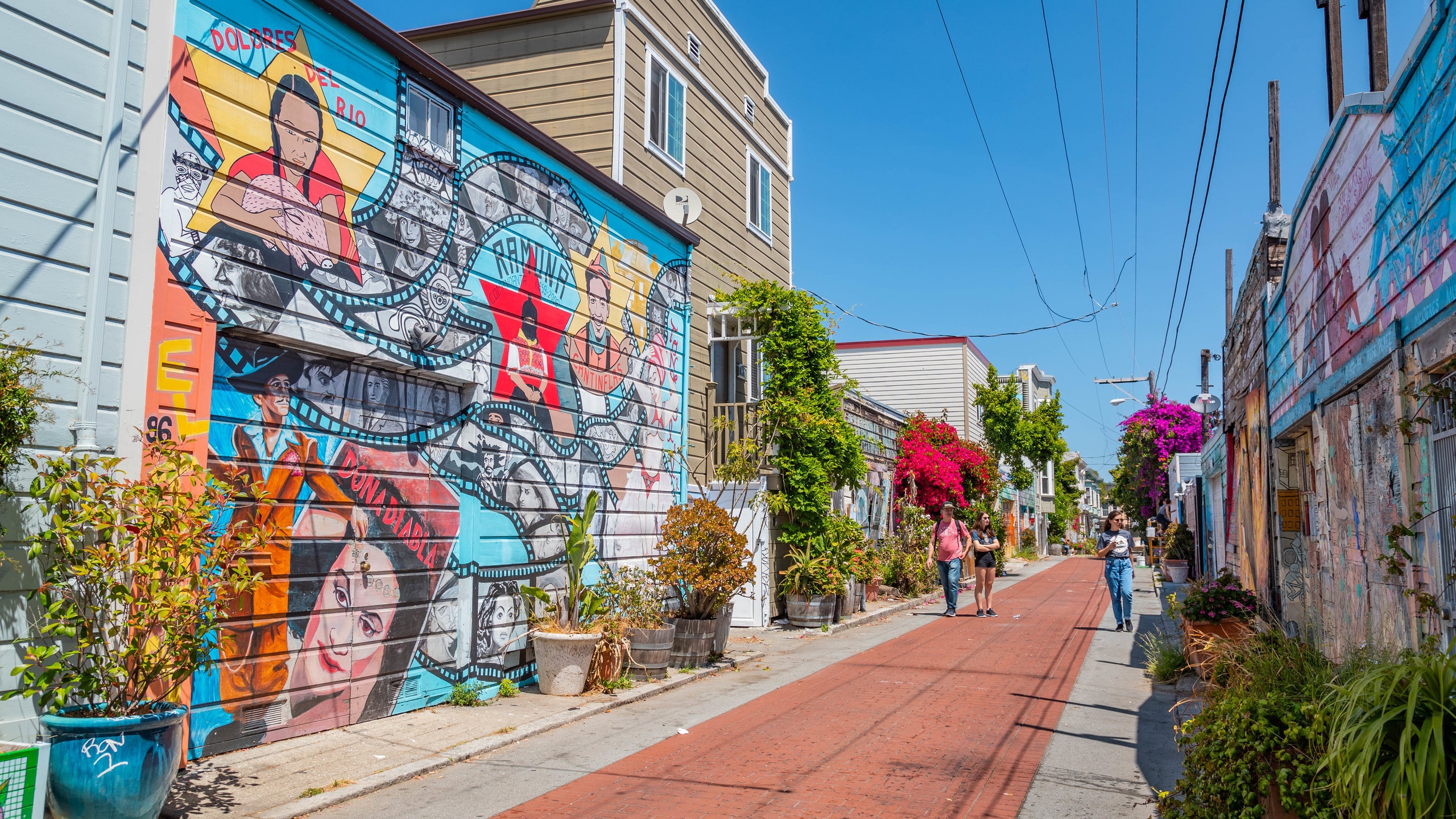 Balmy Alley featuring outdoor art