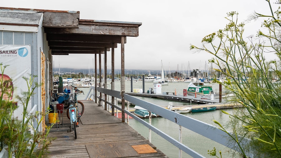 Berkeley Marina featuring a bay or harbor