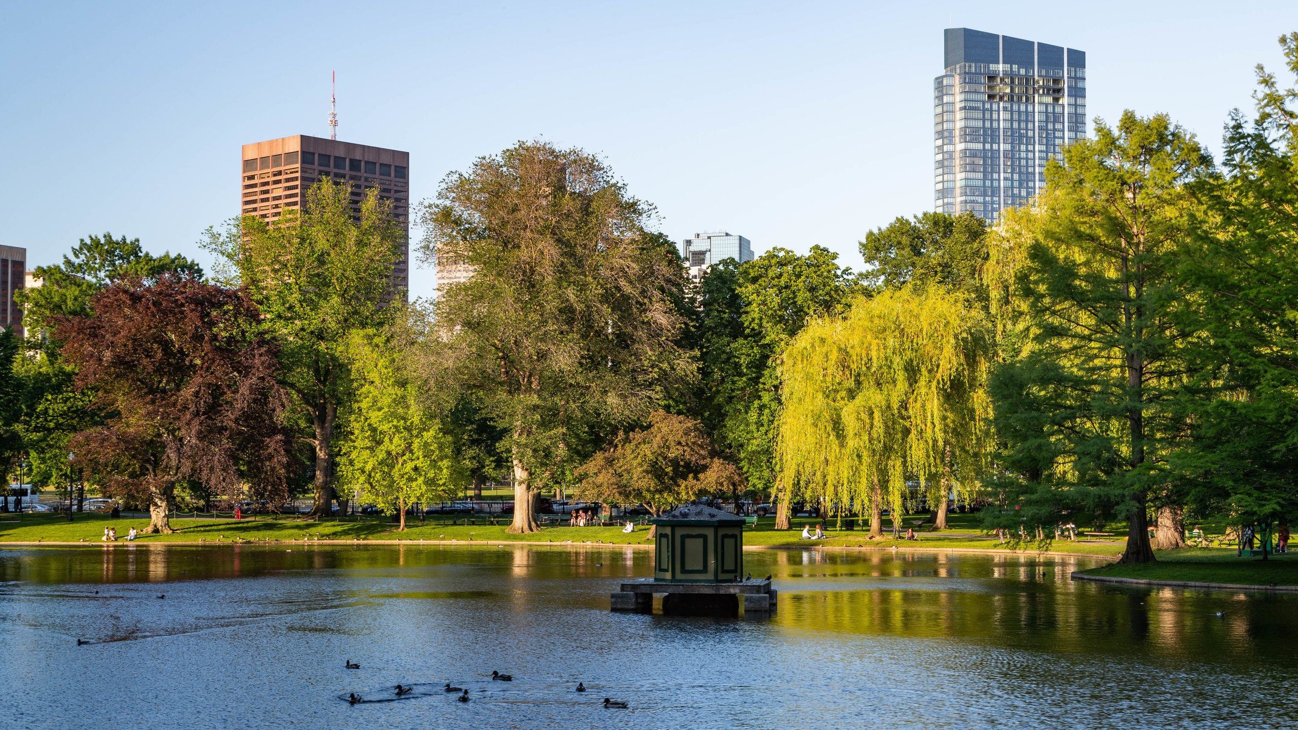 Beacon Hill, jardim público, história de Back Bay + passeio