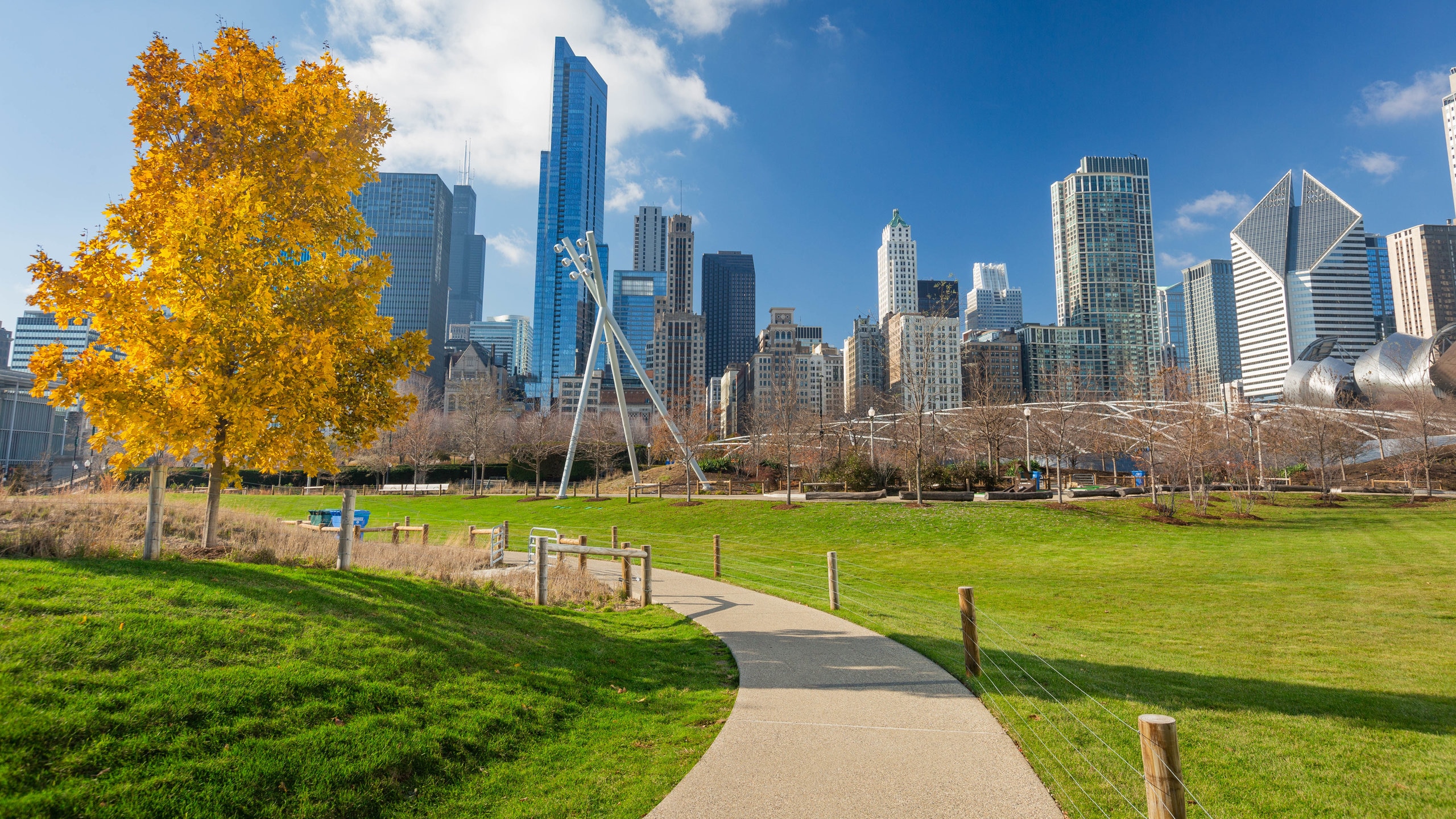 Se Permiten Perros En Grant Park Chicago