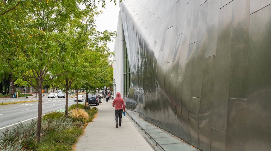 Berkeley Art Museum and Pacific Film Archive