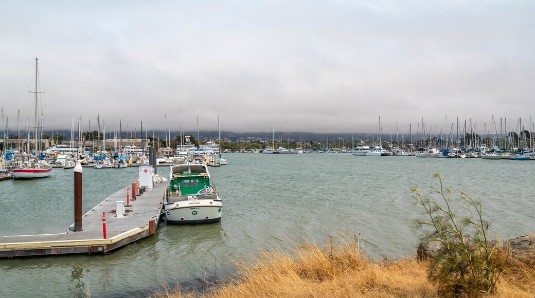 Berkeley Marina showing a bay or harbor