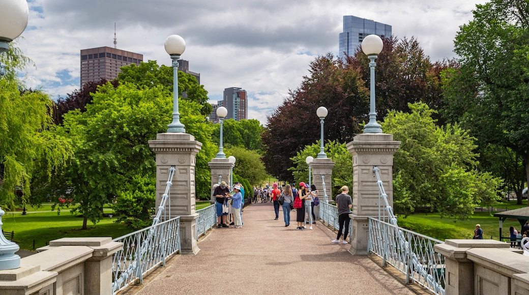 Boston Public Garden