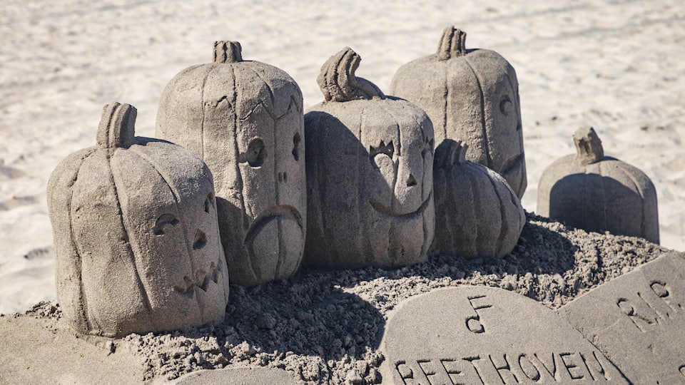 Coronado Beach showing outdoor art and a beach