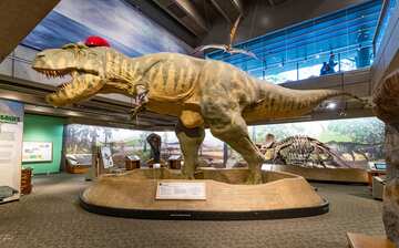 Visit Museum of Science in West End | Expedia
