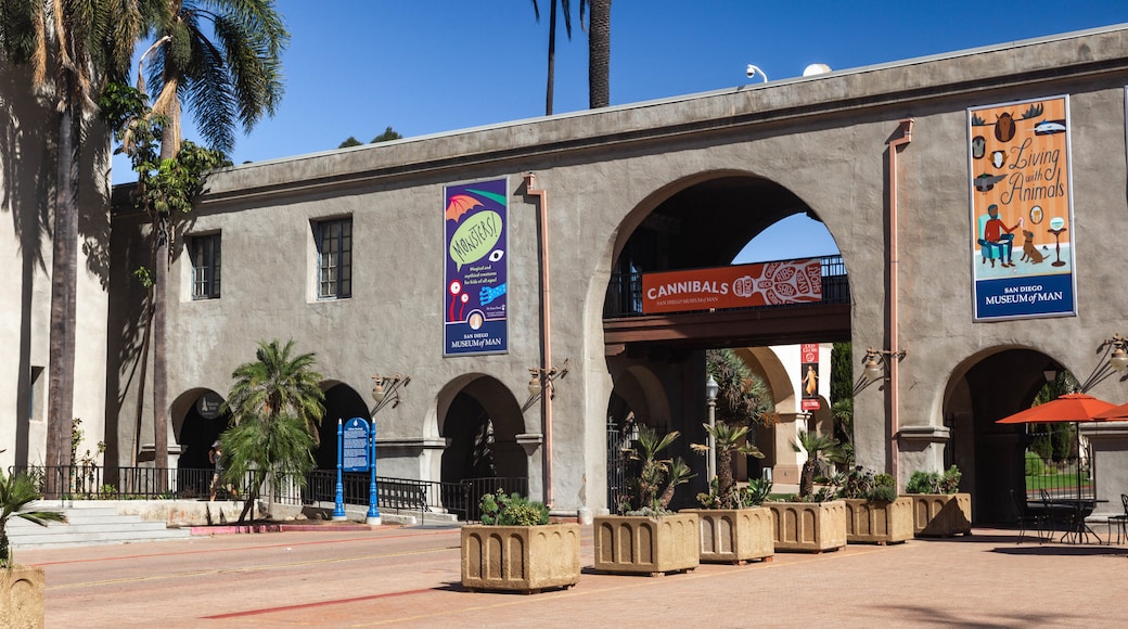 Museum of Us