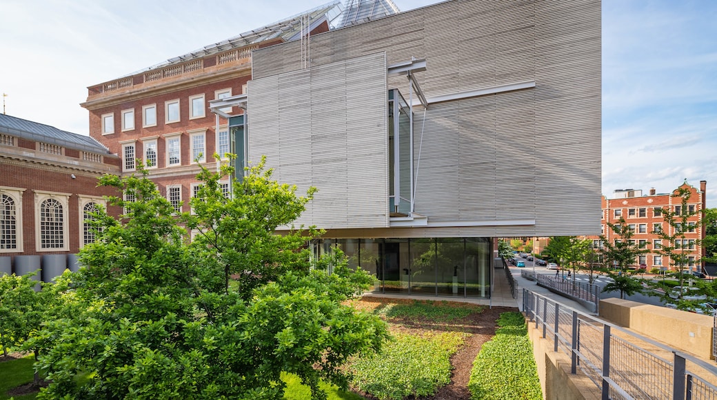Harvard Art Museums